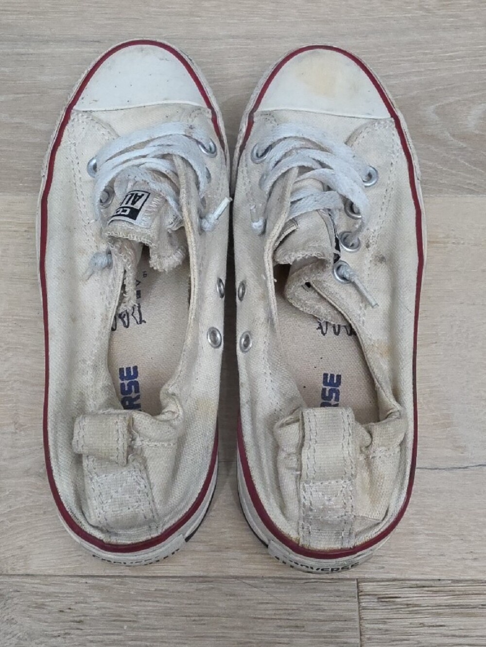 Converse Shoreline Sneaker - Picture 7 of 9